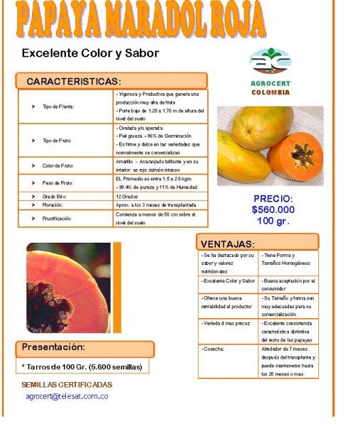 Vendo semilla de papaya maradol cubana